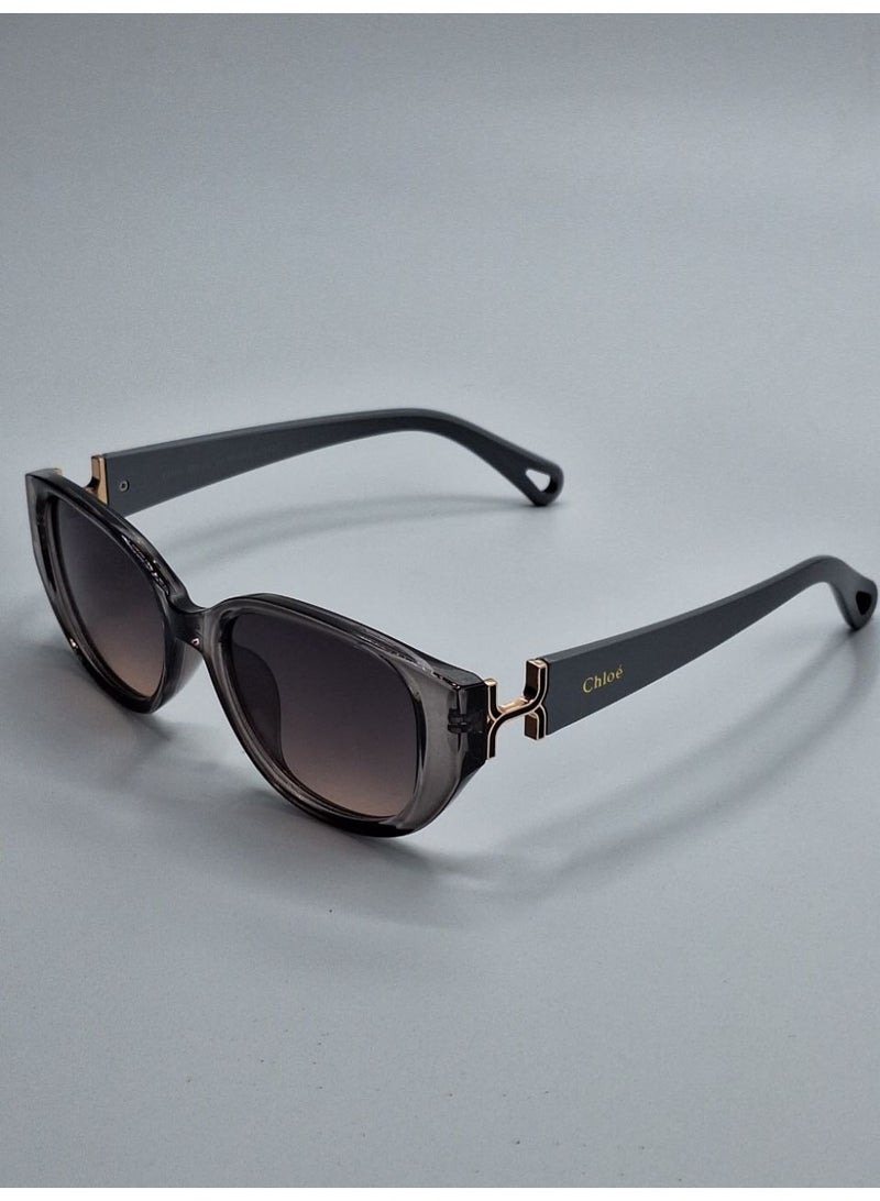 Chloé Women’s Round Sunglasses with Dark Lenses – Gray Frame